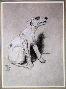 „5:15 Przebudzeni przez zły atak egzemy”, ilustracja z Dnia psa Waltera Emanuela autorstwa Cecil Charles Windsor Aldin