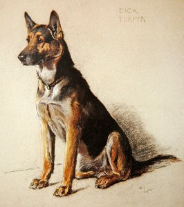Dick Turpin (pastel na papierze barwionym w masie) autorstwa Cecil Charles Windsor Aldin