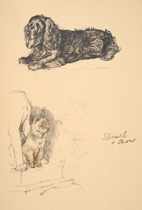 Spaniel i Chow, 1930, Ilustracje z jego szkicownika używanego do Just Among Friends, Aldin, Cecil Charles Windsor (1870-1935), później wydane przez Eyre i Spottiswoode Limited, 1934, Chalk and Char autorstwa Cecil Charles Windsor Aldin