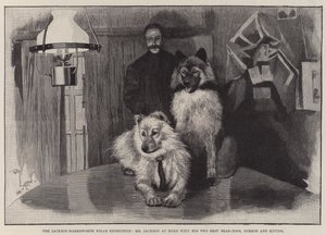 Jackson-Harmsworth Polar Expedition, Pan Jackson w domu z jego dwóch najlepszych Bear-Dogs, Nimrod i Raving autorstwa Cecil Charles Windsor Aldin