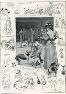 Wystawa psów Związku Kynologicznego w Crystal Palace autorstwa Cecil Charles Windsor Aldin