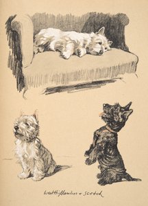 West Highlanders and Scotch, 1930,Ilustracje z jego szkicownika używanego w Just Among Friends, później wydane przez Eyre i Spottiswoode Limited, 1934 (kreda i węgiel na papierze)