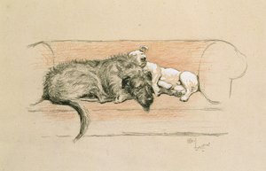 Wilczarz i Bull Terrier śpią na kanapie (pastel na papierze) autorstwa Cecil Charles Windsor Aldin