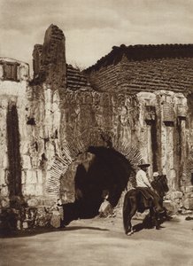 Meksyk: Oaxaca, Tuberia espanola (zdjęcie czarno-białe)