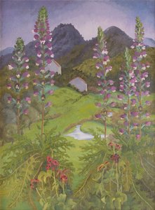 Akant autorstwa Cedric Morris