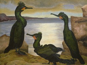 Kudłaty autorstwa Cedric Morris