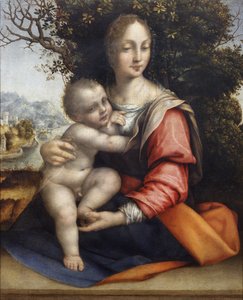 Madonna z Dzieciątkiem (Matka Boża z Drzewa)