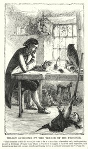 Wilson ogarnięty przerażeniem więźnia (rycina) autorstwa Charles Altamont Doyle