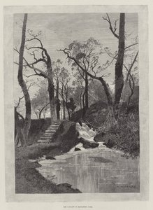 Kaskada w Hawarden Park autorstwa Charles Auguste Loye