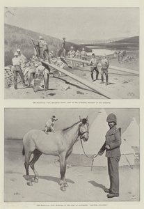 Wojna Transwalu autorstwa Charles Auguste Loye