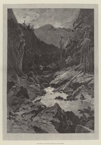 Wild Darrie, autorstwa Christie Murray i H Hermana autorstwa Charles Auguste Loye