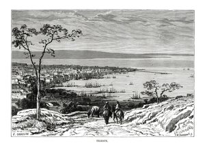 Triest, Włochy, 1879 autorstwa Charles Barbant