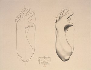 Wygięte ramię kobiety, płyta 22 z Cours de Dessin, tom I, Modeles dapres la bosse, c.1868