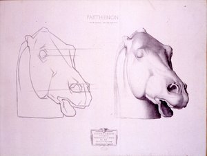 Głowa konia z zachodniego frontonu Partenonu, tablica 47 z Cours de Dessin, c.1898