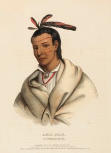 A-MIS-QUAM, A WINNEBAGO BRAVE, z Historii plemion indiańskich Ameryki Północnej autorstwa Charles Bird King