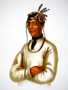 Caatousee z plemienia Chippewa (kolor lito) autorstwa Charles Bird King