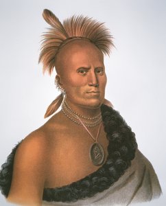 Główny Shaitarish autorstwa Charles Bird King
