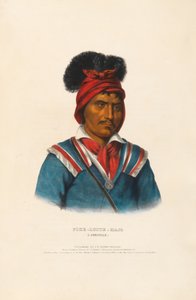  autorstwa Charles Bird King