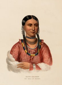 HAYNE-HUDJIHINI. ORZEŁ Rozkoszy, z Historii plemion indiańskich Ameryki Północnej autorstwa Charles Bird King