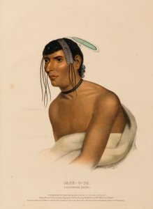 JACK-O-PA. A CHIPPEWA CHIEF., z Historii plemion indiańskich Ameryki Północnej autorstwa Charles Bird King
