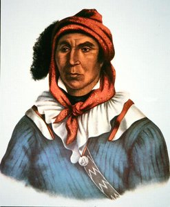 Julcee Mathla autorstwa Charles Bird King