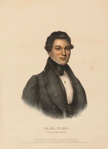 KA-NA-PI-MA, AN OTTAWA CHIEF., z Historii plemion indiańskich Ameryki Północnej autorstwa Charles Bird King