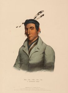 KA-TA-WA-BE-DA. A CHIPPEWAY CHIEF., z Historii plemion indiańskich Ameryki Północnej autorstwa Charles Bird King