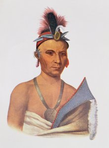 Keesheswa lub „Słońce”, wódz lisów, ok. 1837, ilustracja z „Indiańskich plemion Ameryki Północnej, tom 2”, Thomasa L. McKenneya i Jamesa Halla, wyd. przez Johna Granta
