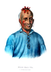 Kishkalwa, wódz Shawnee autorstwa Charles Bird King