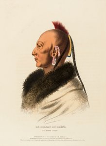 LE SOLDAT DU CHENE, AN OSAGE CHIEF., z Historii plemion indiańskich Ameryki Północnej autorstwa Charles Bird King