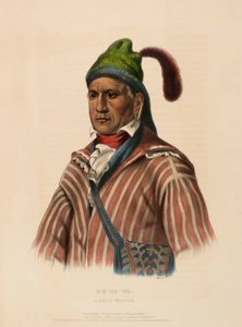 ME-NA-WA. CREEK WARRIOR, z Historii plemion indiańskich Ameryki Północnej autorstwa Charles Bird King