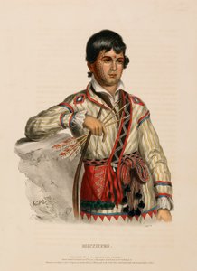 MISTIPPEE., z Historii plemion indiańskich Ameryki Północnej autorstwa Charles Bird King