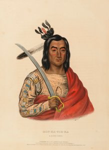 MON-KA-USH-KA. A SIOUX CHIEF., z Historii plemion indiańskich Ameryki Północnej autorstwa Charles Bird King