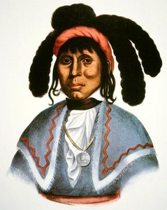 Micanopy (zm. 1849) c.1826 (kolor lito) autorstwa Charles Bird King