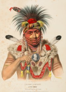 NE-SOU-A-QUOIT. A FOX CHIEF., z Historii plemion indiańskich Ameryki Północnej autorstwa Charles Bird King