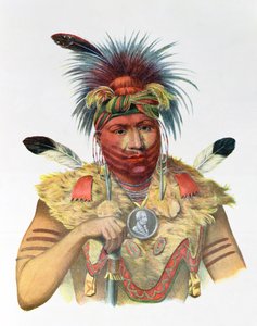 Ne-Sou-A-Quoit, wódz lisów, ilustracja z "The Indian Tribes of North America", Thomas L. McKenney i James Hall, wyd. John Grant