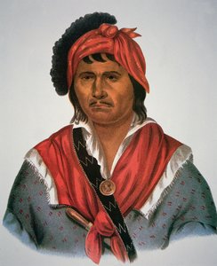 Wódz Neamathli