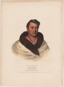 Ong-pa-ton-ga autorstwa Charles Bird King