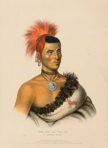 PES-KE-LE-CHA-CO, A PAWNEE CHIEF., z Historii plemion indiańskich Ameryki Północnej autorstwa Charles Bird King