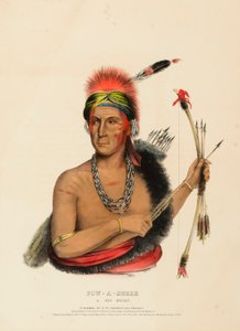 POW-A-SHEEK. FOX CHIEF. autorstwa Charles Bird King