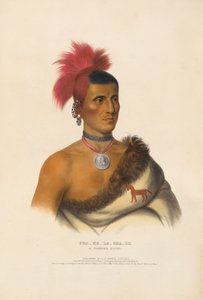  autorstwa Charles Bird King
