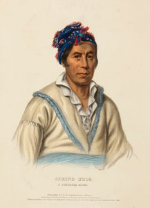 WIOSENNA ŻABA. A CHEROKEE CHIEF, z Historii plemion indiańskich Ameryki Północnej autorstwa Charles Bird King