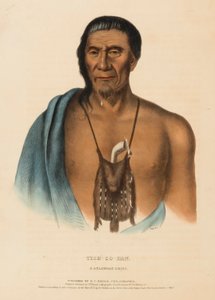 TISH-CO-HAN. A DELAWARE CHIEF., z Historii plemion indiańskich Ameryki Północnej autorstwa Charles Bird King