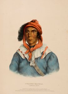 TULCEE-MATHLA. A SEMINOLE CHIEF., z Historii plemion indiańskich Ameryki Północnej autorstwa Charles Bird King
