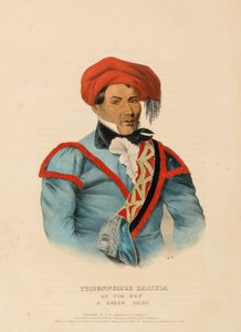 TUSTENNUGGEE EMATHLA, z Historii plemion indiańskich Ameryki Północnej autorstwa Charles Bird King