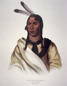 „Śpiące oko” autorstwa Charles Bird King