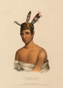WA-KAWN-HA-KA, WÓDZ WINNEBAGO, z Historii plemion indiańskich Ameryki Północnej autorstwa Charles Bird King