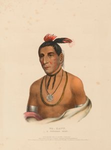 WA-KAWN, WÓDZ WINNEBAGO, z Historii plemion indiańskich Ameryki Północnej autorstwa Charles Bird King