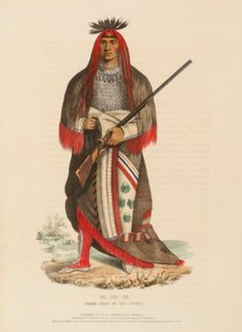 WA-NA-TA. GRAND CHIEF OF THE SIOUX, z Historii plemion indiańskich Ameryki Północnej autorstwa Charles Bird King