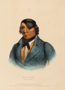 WAA-PA-SHAW. A SIOUX CHIEF, z Historii plemion indiańskich Ameryki Północnej autorstwa Charles Bird King